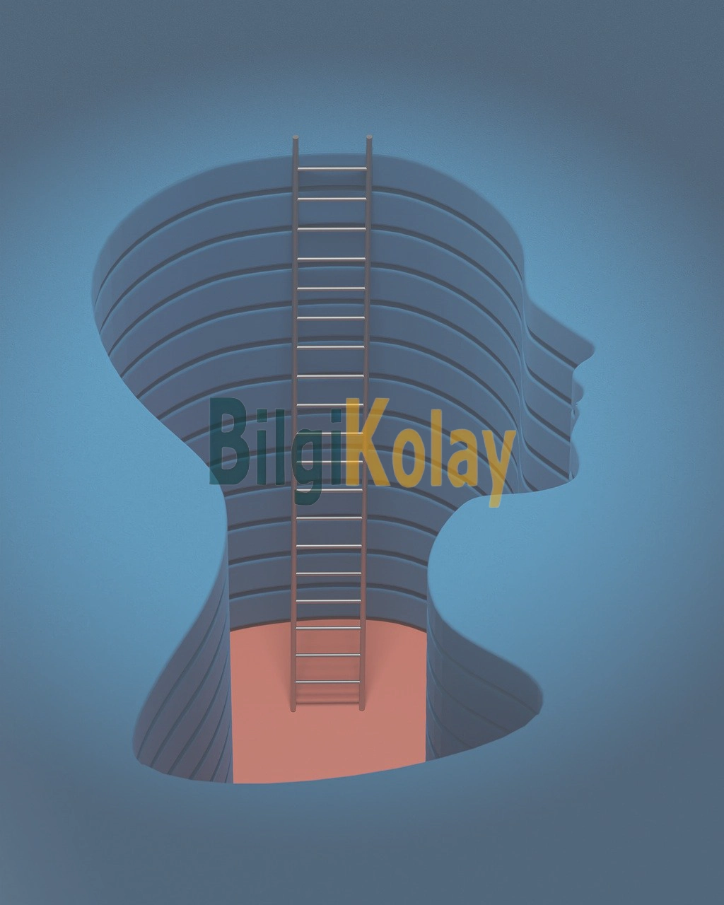 psikoloji bilgi kolay