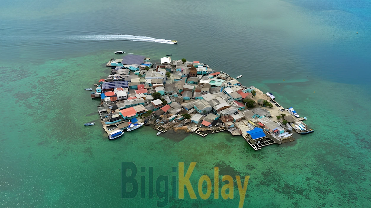 Santa Cruz del Islote