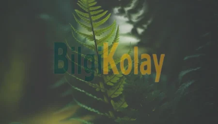 Dünyanın En Büyük Genomuna Sahip Eğrelti Otu